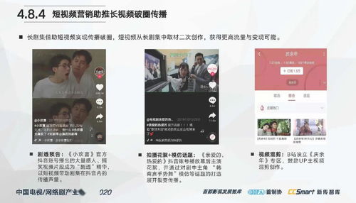 中國電視 網絡劇產業報告2020