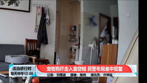 btv法治進(jìn)行時的主頁